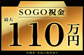 エコカーの組立＊手当合計最大110万/日払いOK