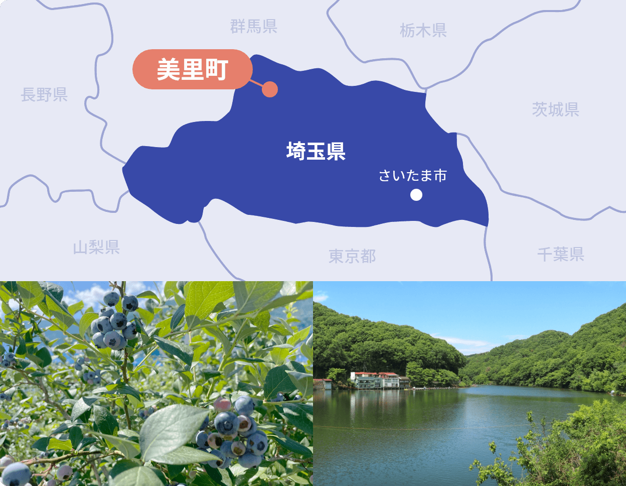 埼玉県